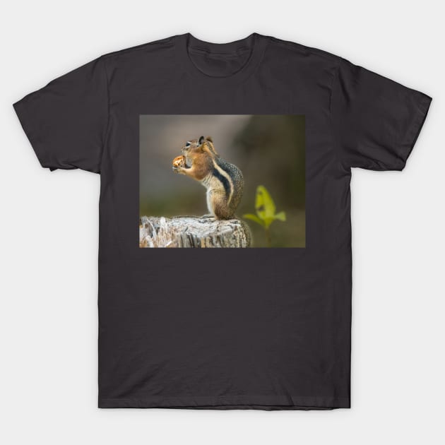 Golden-Mantled Ground Squirrel T-Shirt by Debra Martz
